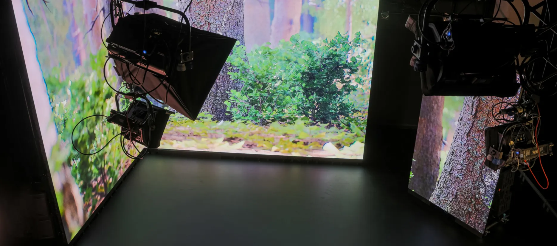 Two LED walls meeting in a corner of the XR Lab, showing a forest, with lights rigged above