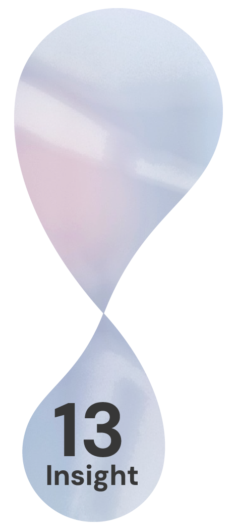 Image depicting the following 13 Insight