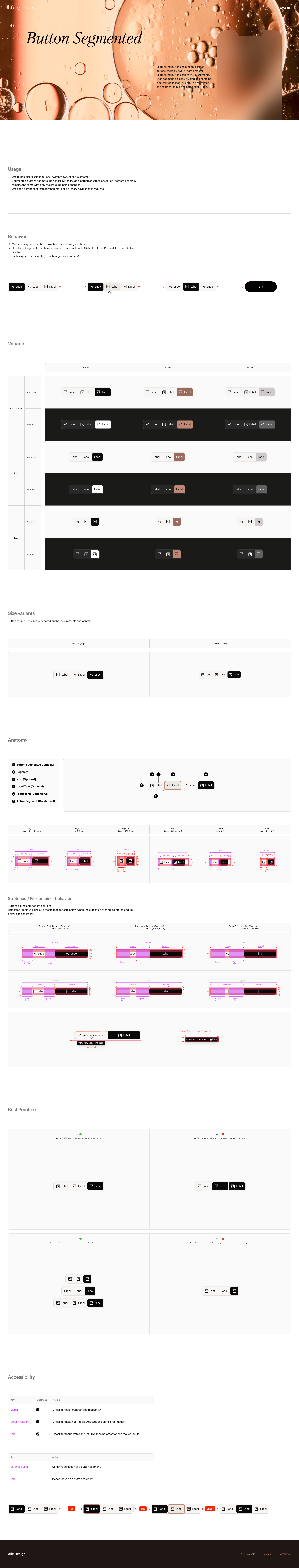 design system documentaion