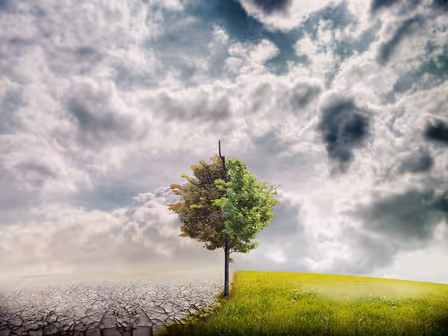 Nepovratna sredstva fiugrativno predstavljena