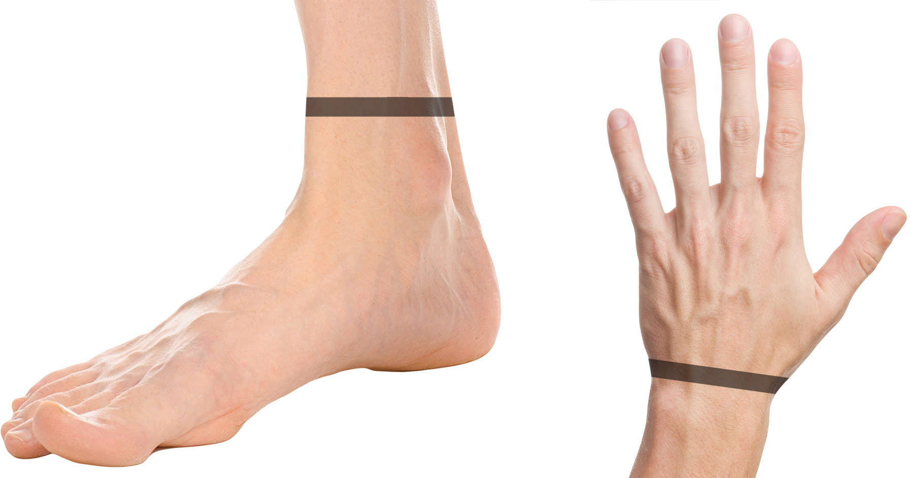 Male muscles