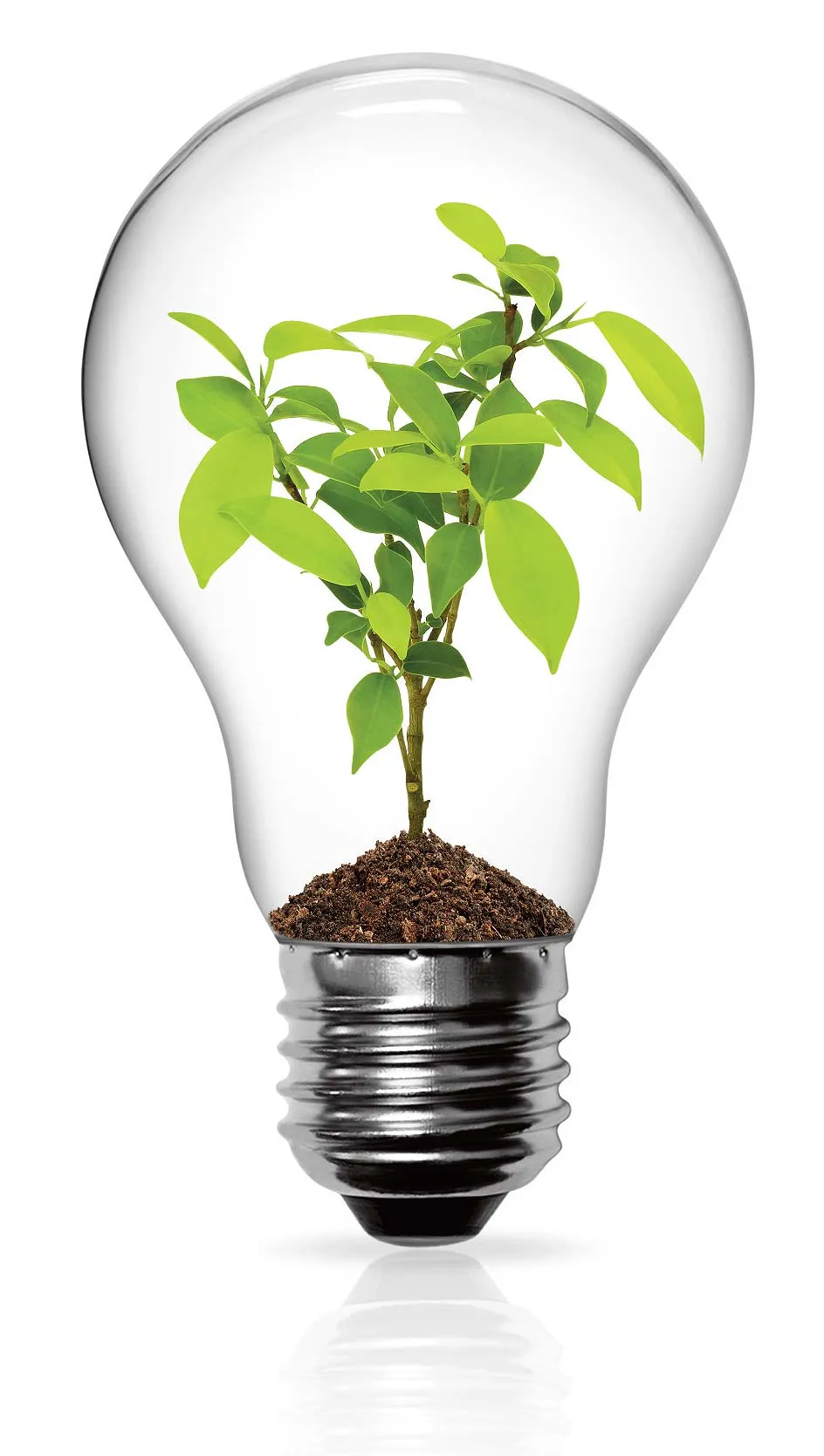 All IT equipment is recycled responsibly
