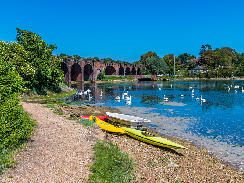 Fareham graphic design