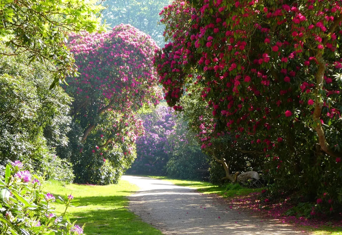 Sheringham Park