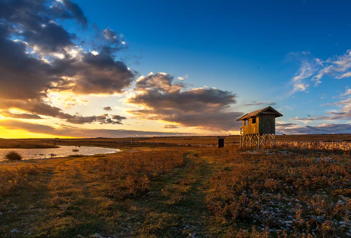 Sonnenaufgang über dem Reservat Veliko Blato, wo Reiher und Enten zwischen den Schilffeldern ziehen