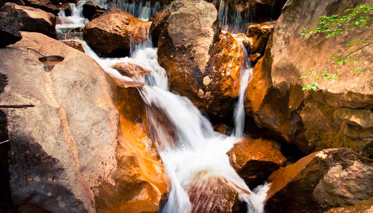 Paklenica-Nationalpark – Wasserlauf zwischen Felsen im Schatten alter Bäume.“