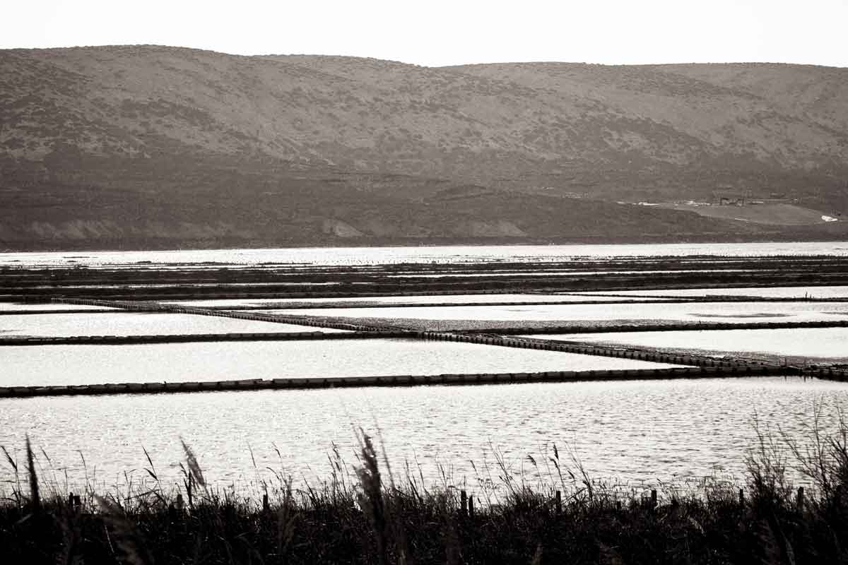 Glitzernde Salzfelder auf Pag, wo Sonne und Meer das Salz formen