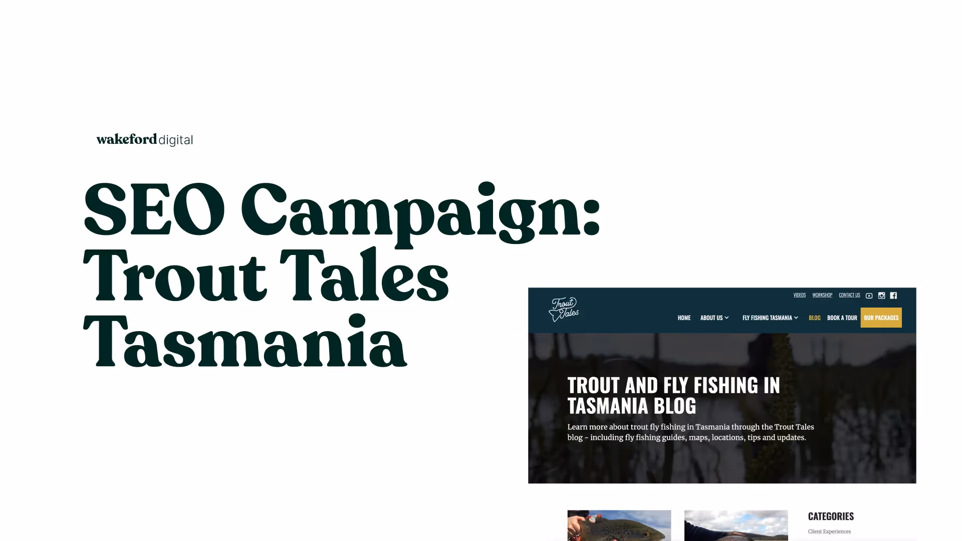 Trout Tales SEO Campaign 