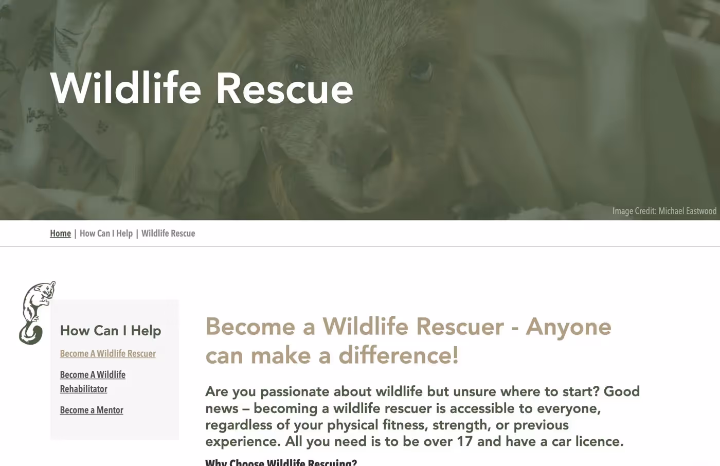 Wildlife Network Tasmania