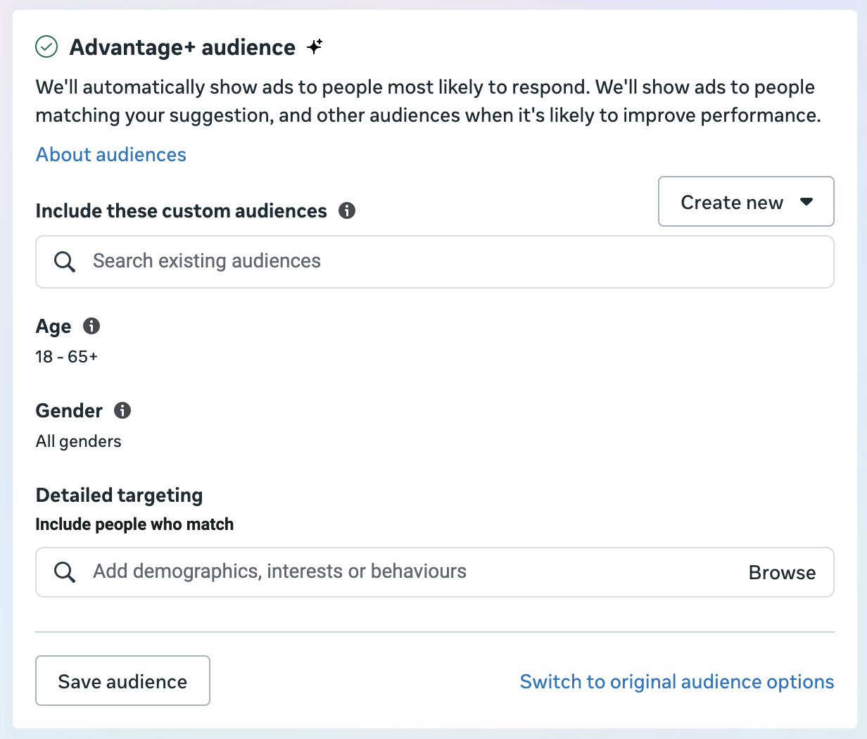 screengrab showing audience + options in meta ads