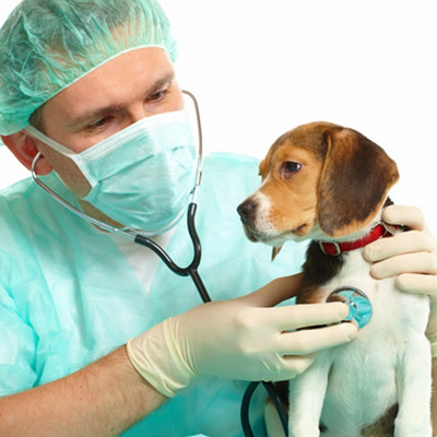 Consultas de Especialidade