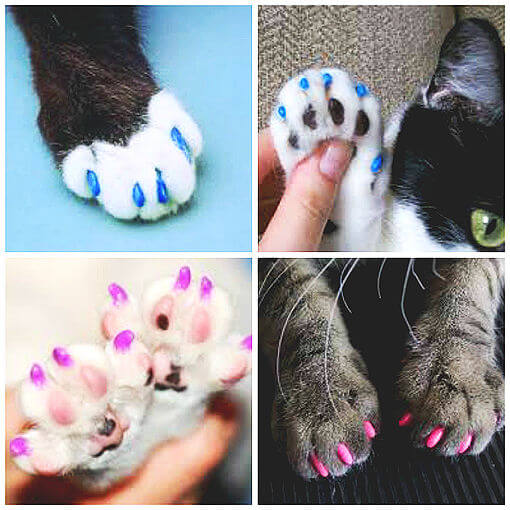 Capinhas de silicone para gatos