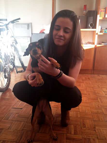 Testemunho - Foofies