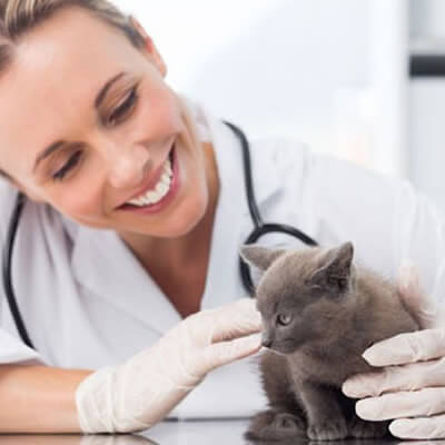 Consultas gerais e vacinas