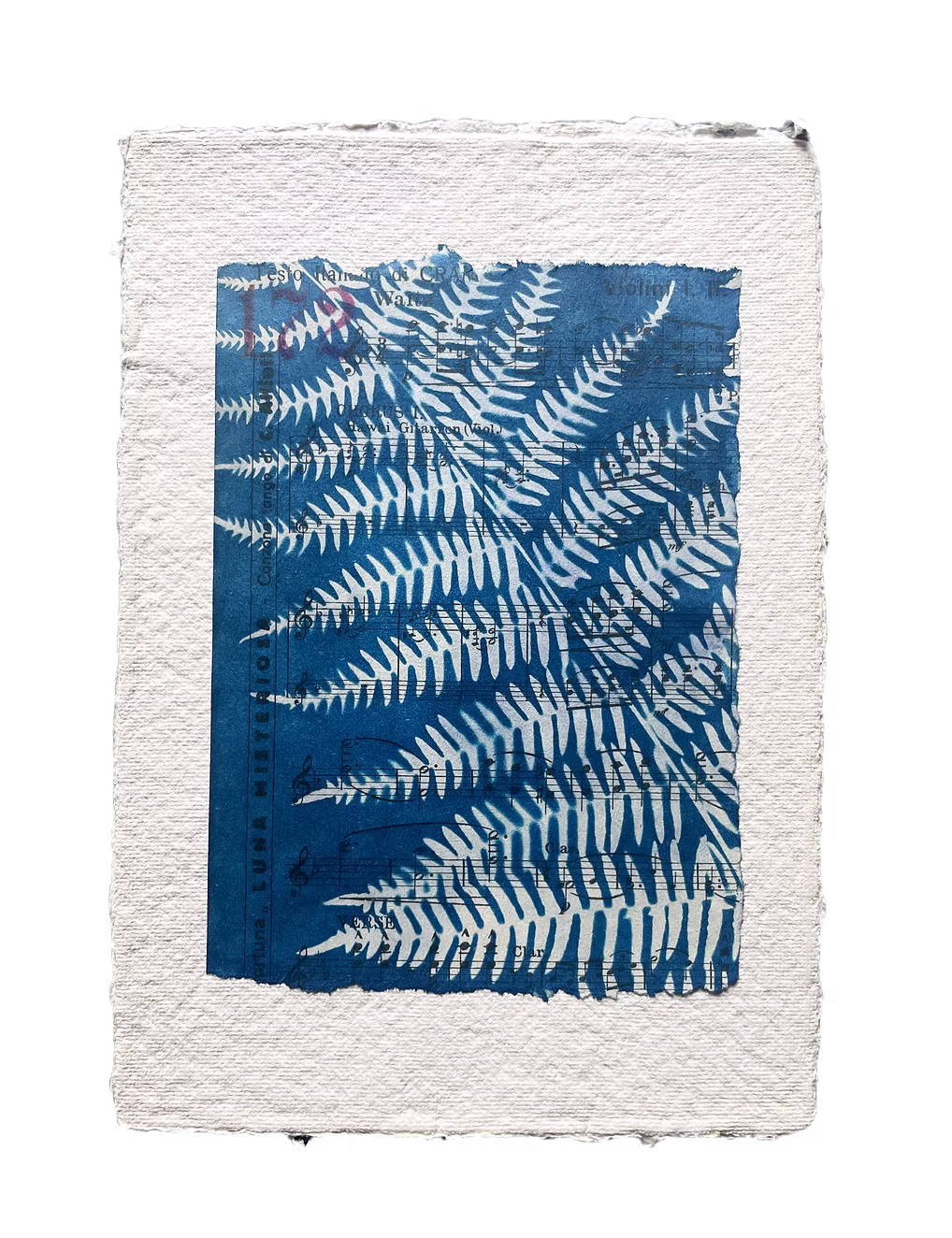 Cyanotype tekniğiyle dünyam genişledi