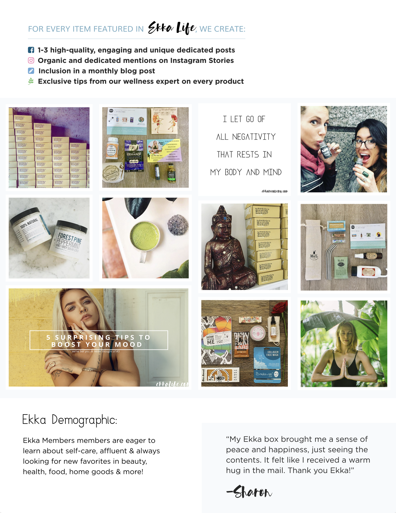 A marketing slick about the business owners and how to join.