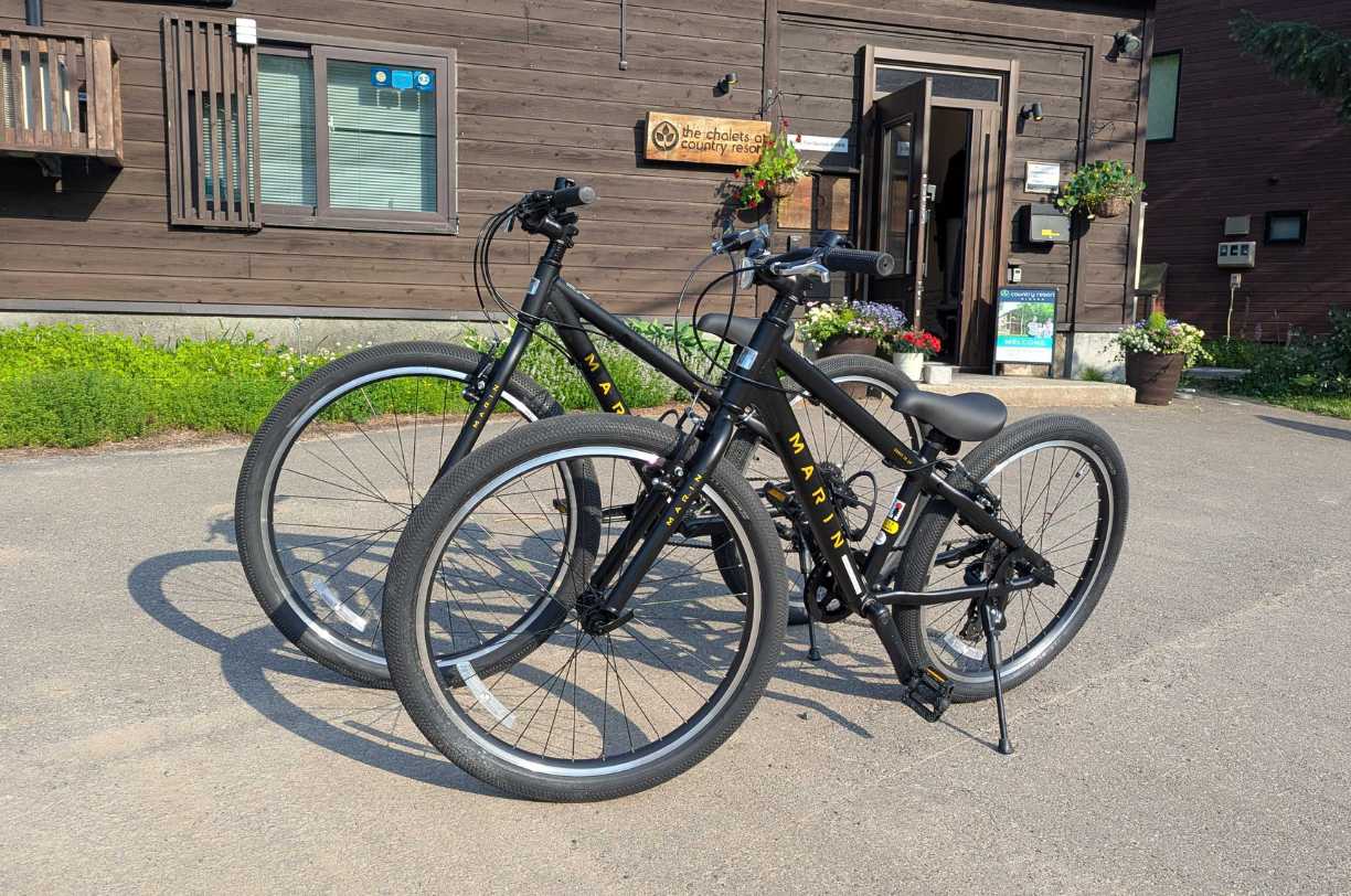 Bike Rental