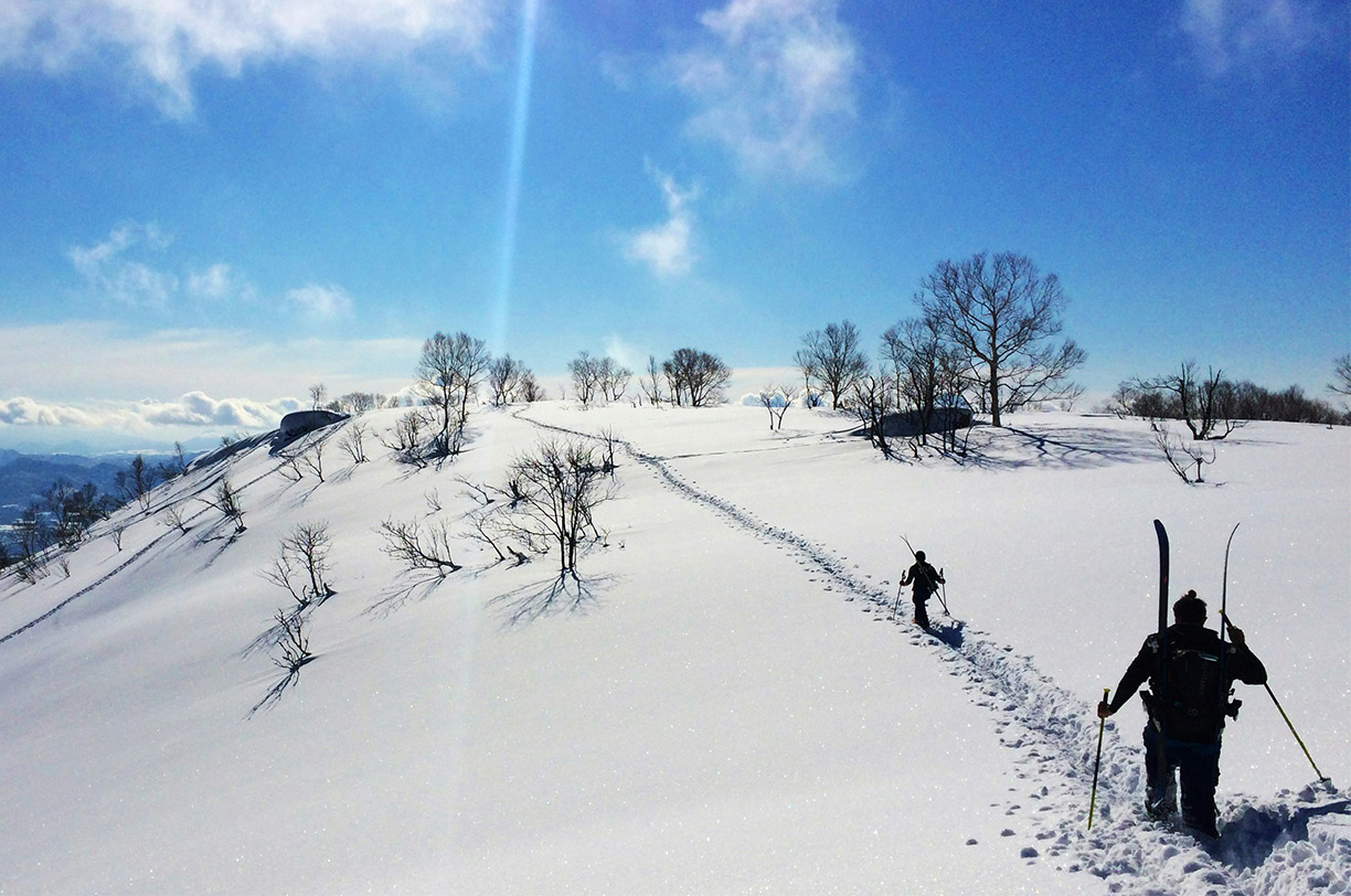 Backcountry Guided Tours