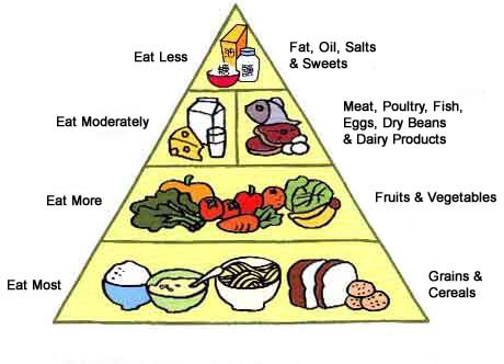 Food pyramid illustrating recommended consumption: eat most grains and cereals at the base, eat more fruits and vegetables, eat moderately meat, poultry, fish, eggs, dry beans, and dairy products, and eat less fat, oil, salts, and sweets at the top.