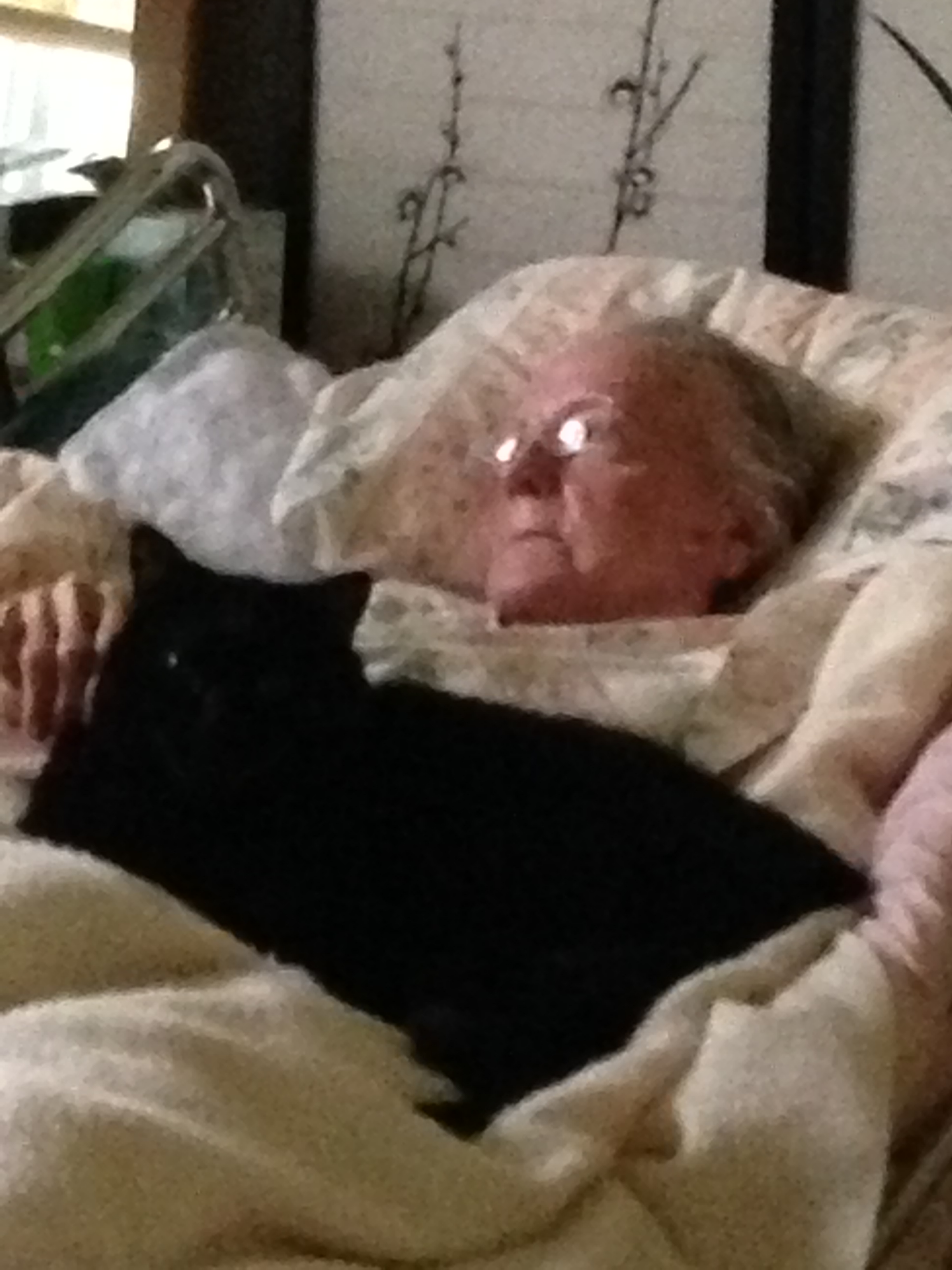 Elderly person lying in bed with a black cat resting on their chest.