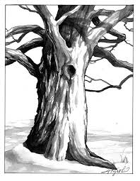 Black and white drawing of a large tree trunk with twisted branches and a hollow knot near the center.