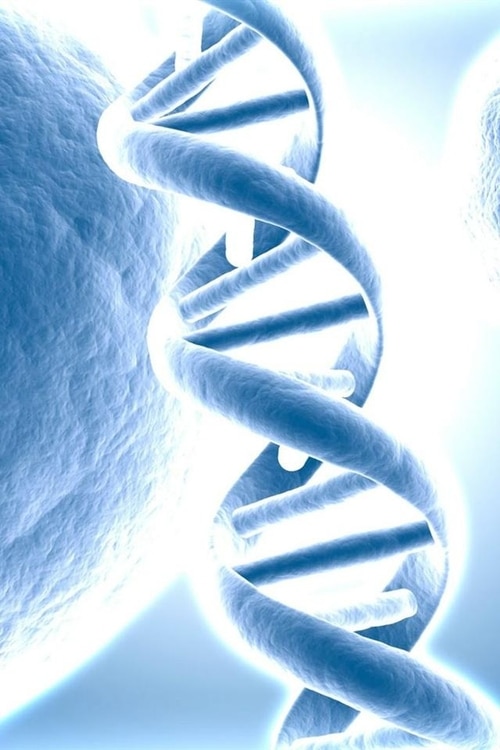 Close-up illustration of a blue DNA double helix strand with textured spherical structures in the background.
