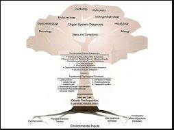 Diagram illustrating the relationship between organ systems, signs and symptoms, medical specializations, environmental inputs, and the resulting physical and mental health conditions.