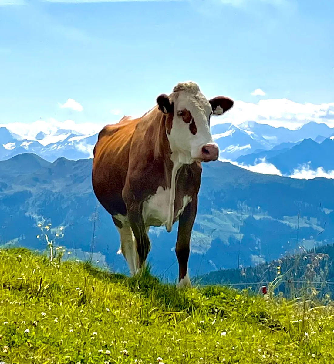 Wandern mit Freunden ;-)