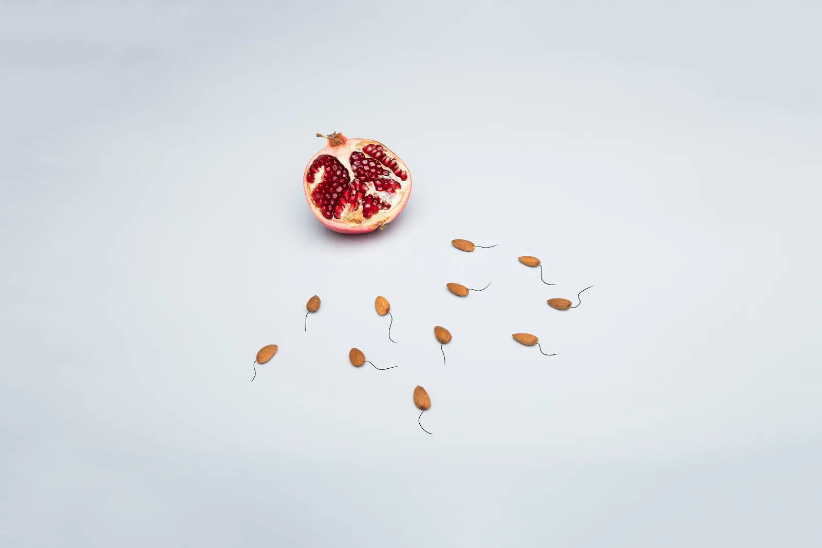 An image of a pomegranate on a plain, white backdrop with almonds positioned around it, lines drawn behind them to make them look like sperm cells.
