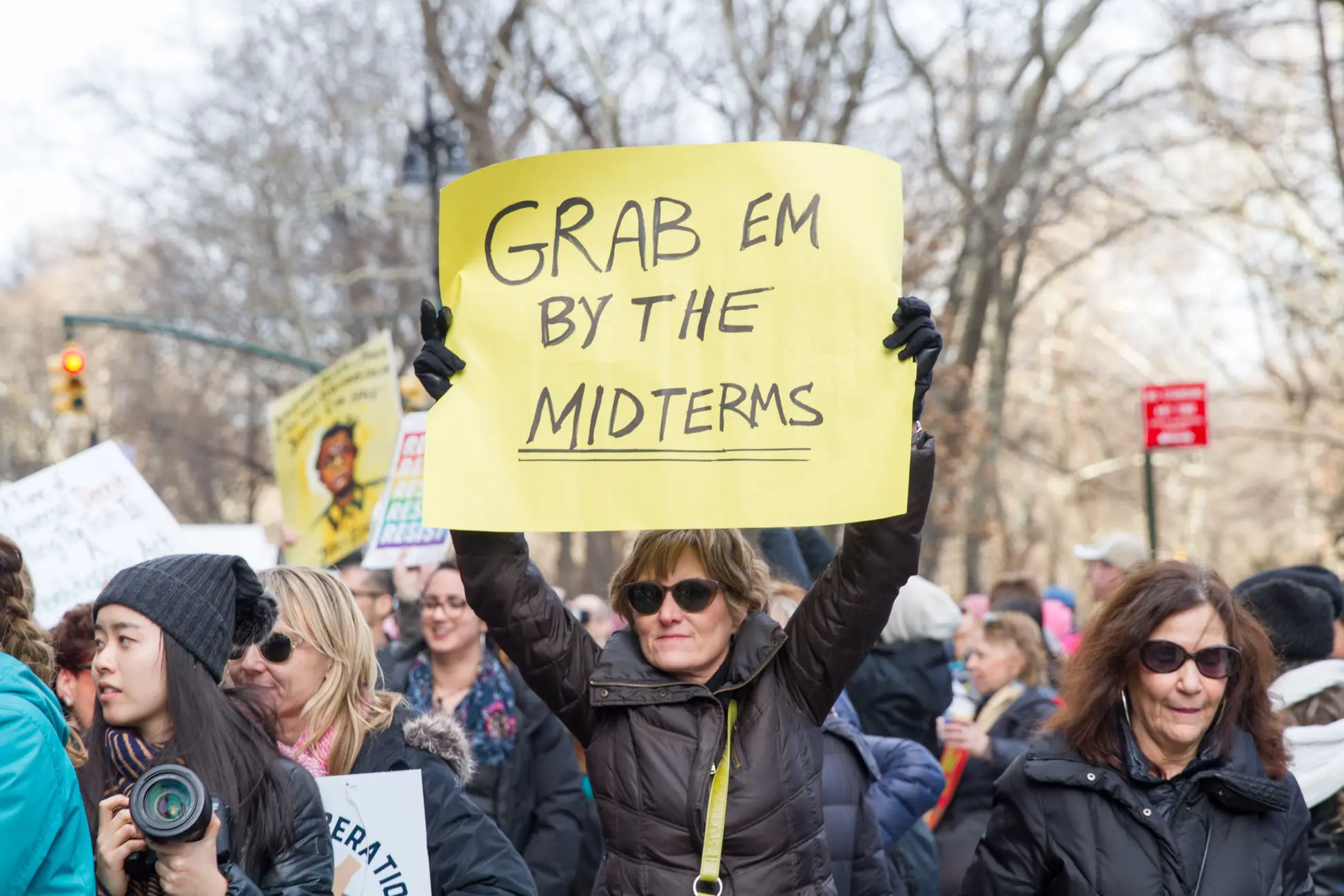 woman holding a protest sign that reads grab em by the midterms