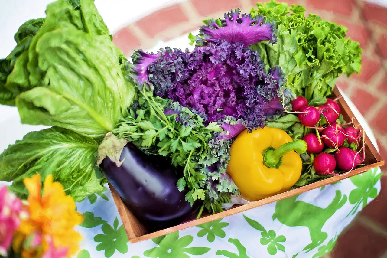 fresh produce from a community garden