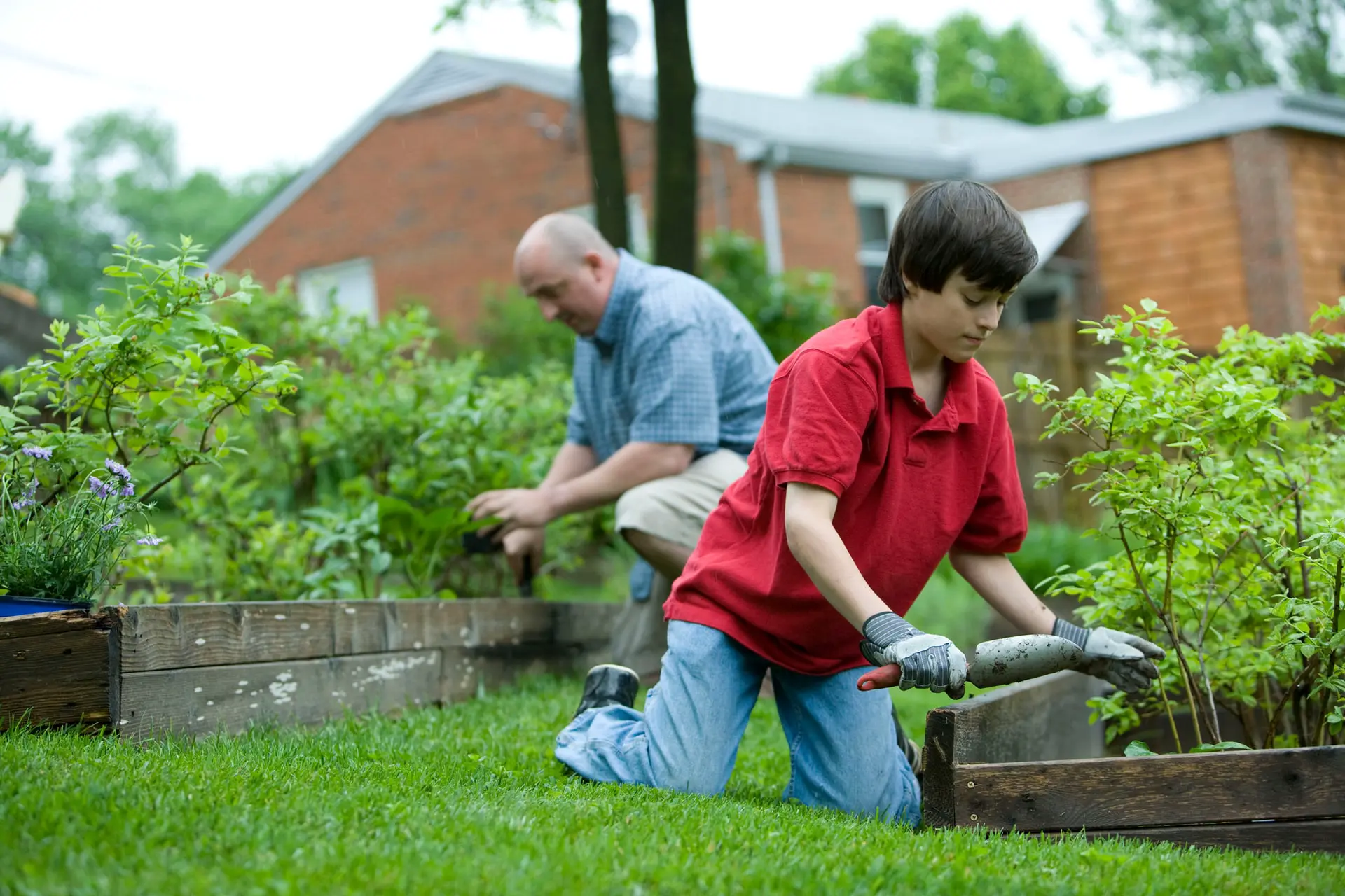 people working in a garden