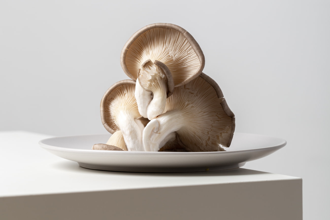 A plate of assorted mushrooms placed on a wooden table, showcasing their earthy colors and textures. 