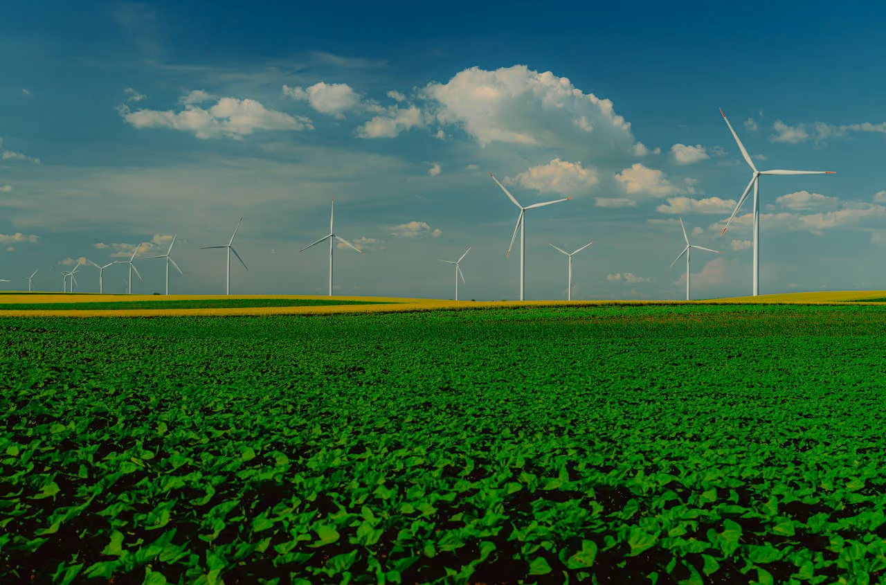 Windmills turn in the distance over a lush green field