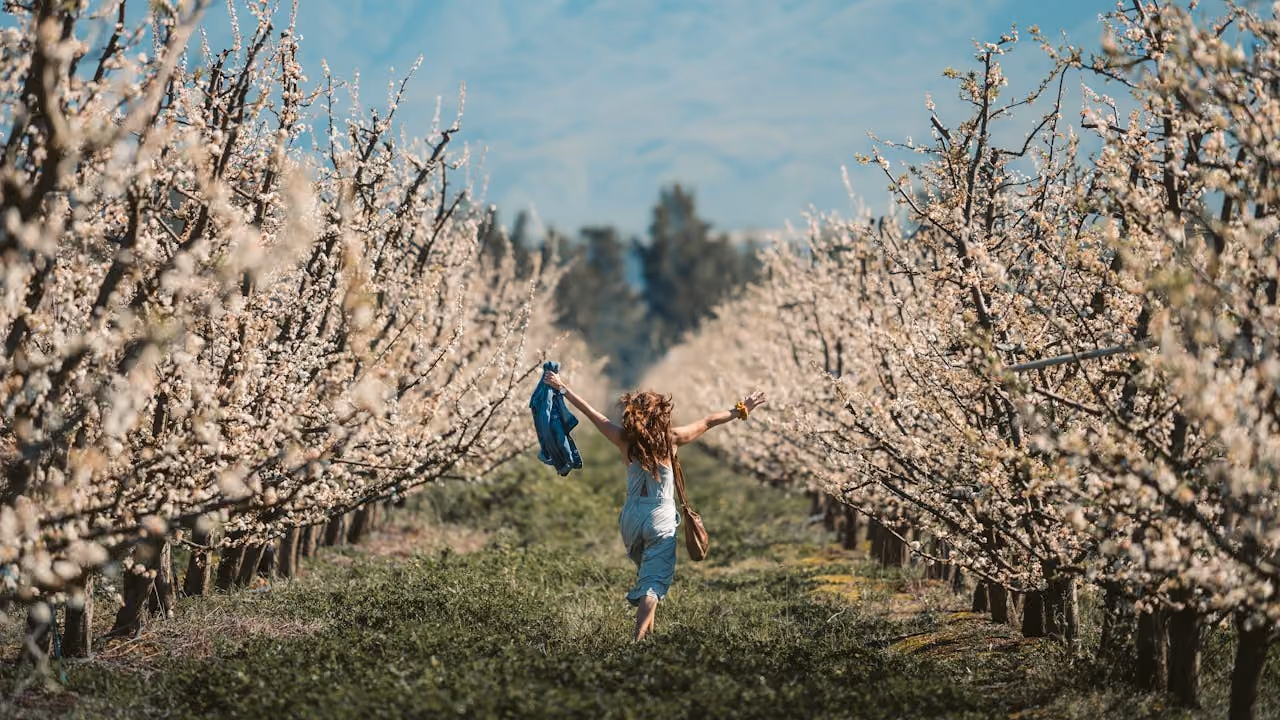 woman leaping carefree through rows of blossoming trees, celebrating the growth, rebirth, and feminine strength of Ostara