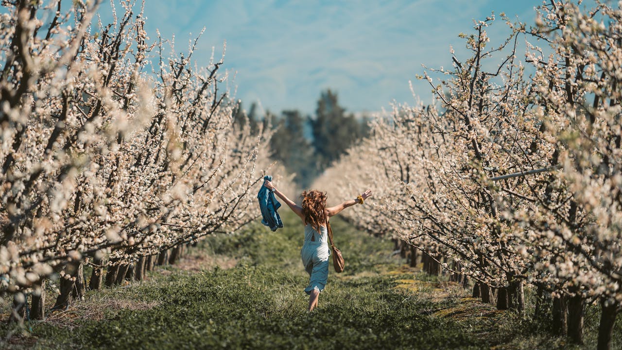 woman leaping carefree through rows of blossoming trees, celebrating the growth, rebirth, and feminine strength of Ostara