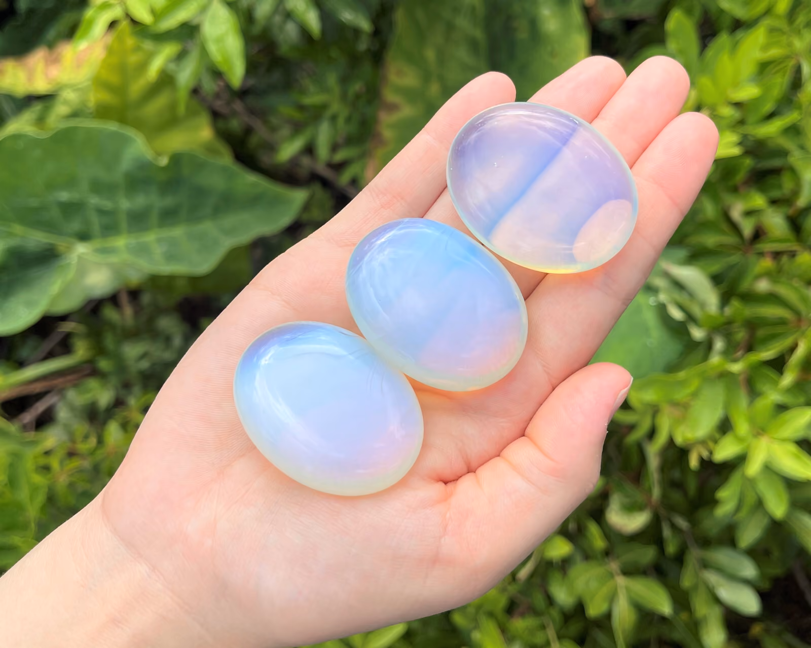 three opalite palm stones of varying opacity held in a practitioner's openhand