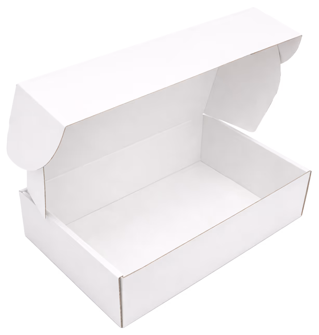 Empty white cardboard shipping box with an open hinged lid.