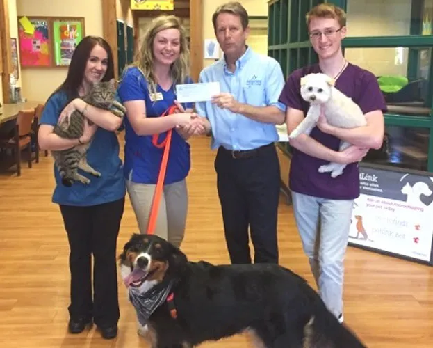 Badgerland Pressure Cleaning sponsoring Humane Animal Welfare Society