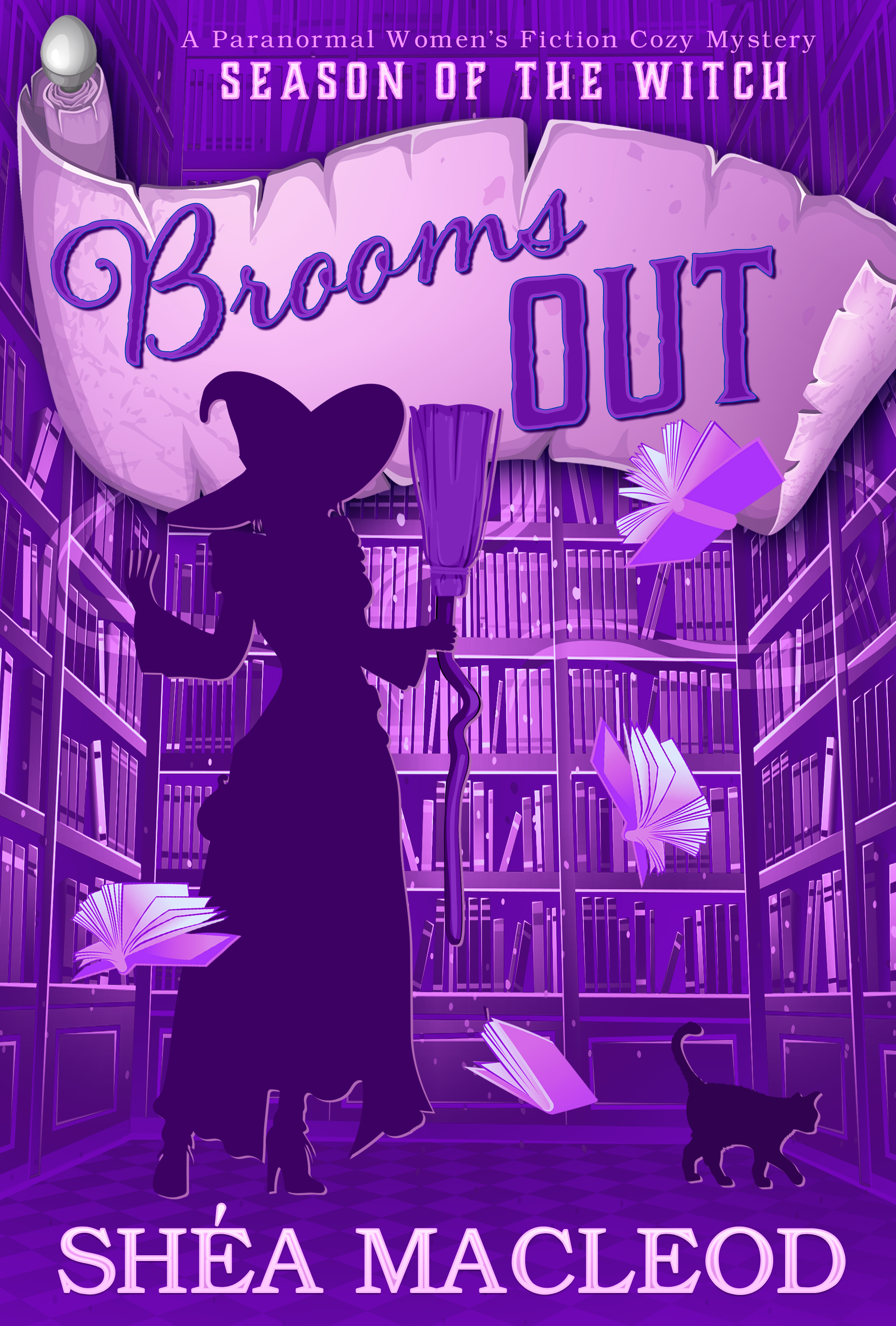 If the Broom Fits