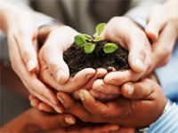 Small Business Pricing