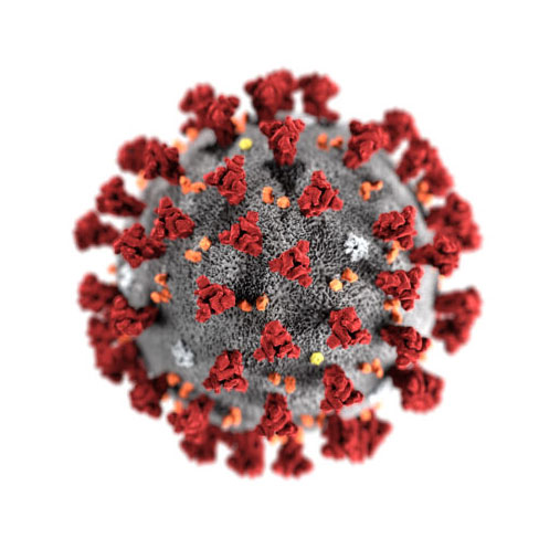 Chattanooga Marketing Clinic