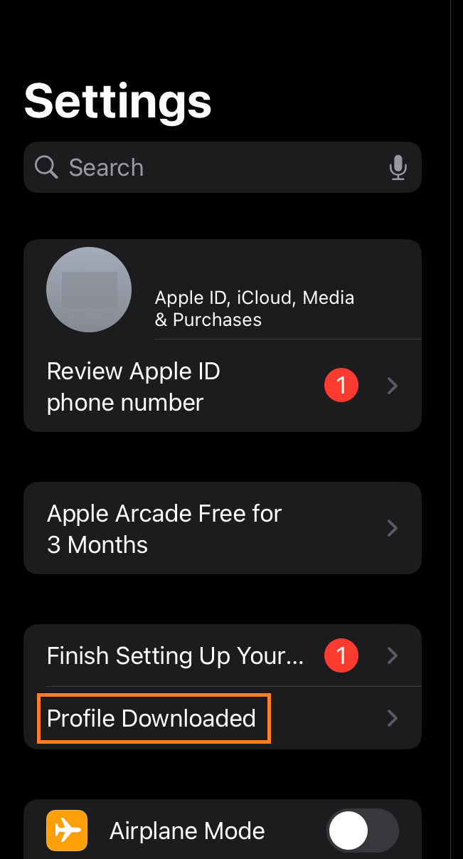 iOS settings profile downloaded