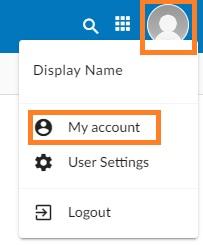 Webmail - access account settings