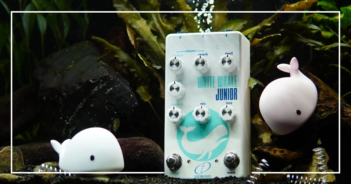 Crazy Tube Circuits White Whale Junior - Smaller Footprint. Bigger Splash!