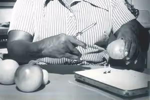 Using Adaptive Devices in the Kitchen