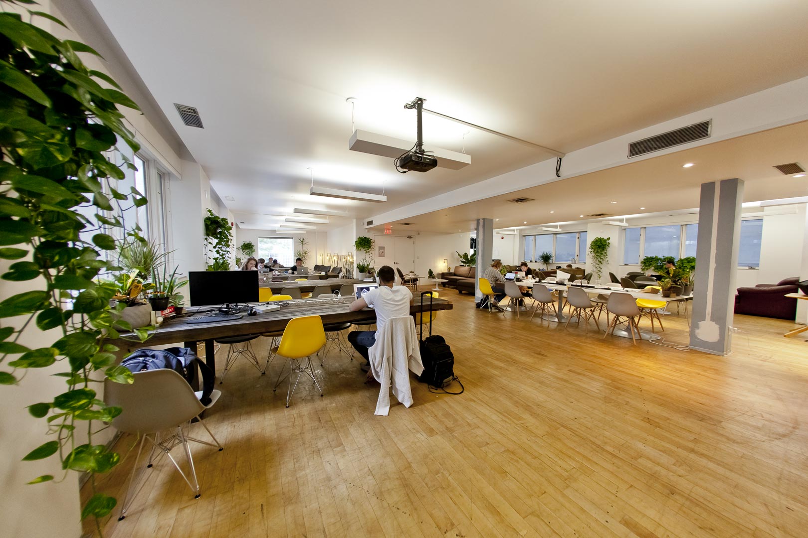 Project Spaces Camden Street, photo 10