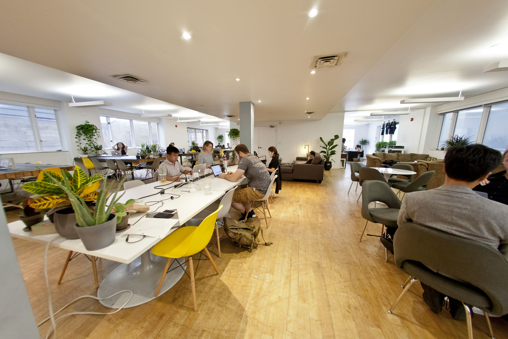 Project Spaces Camden Street, photo 5