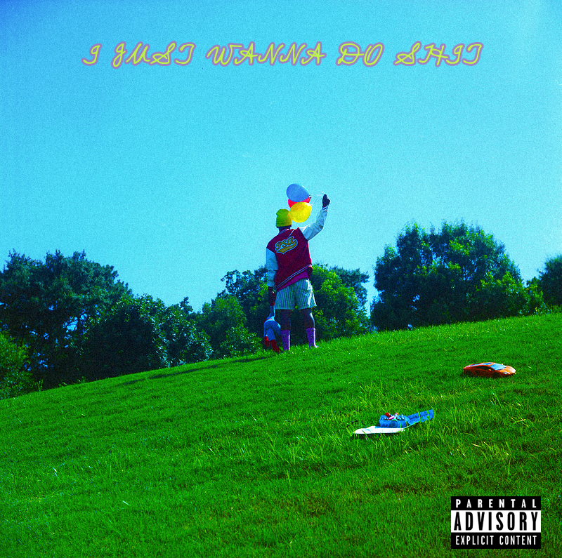 I Just Wanna Do Shit 
