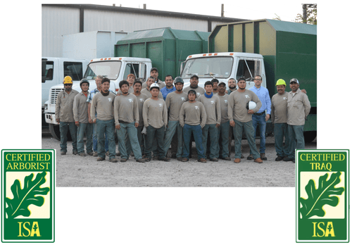 A person standing under a large sprawling tree with thick, twisted branches and green leaves, sunlight filtering through the canopy.